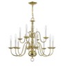 Livex Lighting Williamsburgh 12 - Light Chandelier in  Polished Brass - 4 of 4