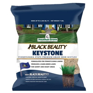 Jonathan Green Black Beauty All Grasses Sun or Shade Grass Seed 7 lb - 1 of 1