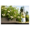 J Vineyards Pinot Gris White Wine - 750ml Bottle - image 3 of 4