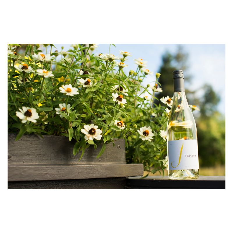 J Vineyards Pinot Gris White Wine - 750ml Bottle, 4 of 8