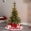 Nearly Natural 5-ft Layered Washington Spruce Artificial Christmas Tree with 200 Clear Lights and 385 Bendable Branches - 4 of 4