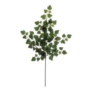Ivy Foliage Spray (Set of 6) - 1 of 2