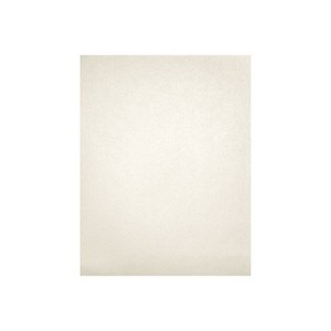 LUX 105 lb. Cardstock Paper 13" x 19" Quartz Metallic 500 Sheets/Pack (1319-C-M08-500) - 1 of 1