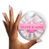 Olive & June Press-On Fake Nails - 42ct - 3 of 4