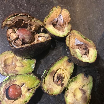 Guest review image 1 of 1, zoom in