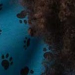 dog paw blue