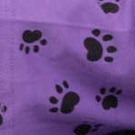 dog paw blue