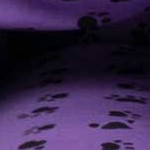dog paw blue