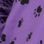dog paw blue