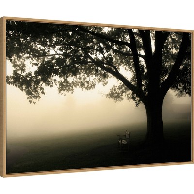 Shenandoah Framed Canvas Landscape Print with Tree in Fog
