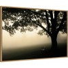 Amanti Art 33" x 23" Shenandoah by Andy Magee Framed Canvas Wall Art Print : Landscape, Framed Tree Art - 2 of 4