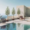 Acekool Artificial Olive Tree in Pot with Lifelike Fruits – Indoor Faux Silk Potted Tree for Home and Office - 2 of 4