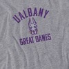 Women's University At Albany Large Crop Top T-Shirt - 2 of 4