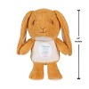 Guess How Much I Love You Nutbrown Hare Cuteeze 12 Inch Collectible Stuffed Animal Plush Toy - 3 of 4