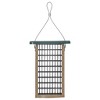 Birds Choice Bird 2-Cake Suet Feeder with Base: Weather-Resistant, Recycled Material, Easy Fill - image 2 of 4