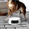 Amici Pet Bowl, Holds Up to 24 Oz. - Ceramic Feeding Dish with Minimal Design, "Eat + Drink" - Great for Food or Water, Stylish Gift - 2 of 4