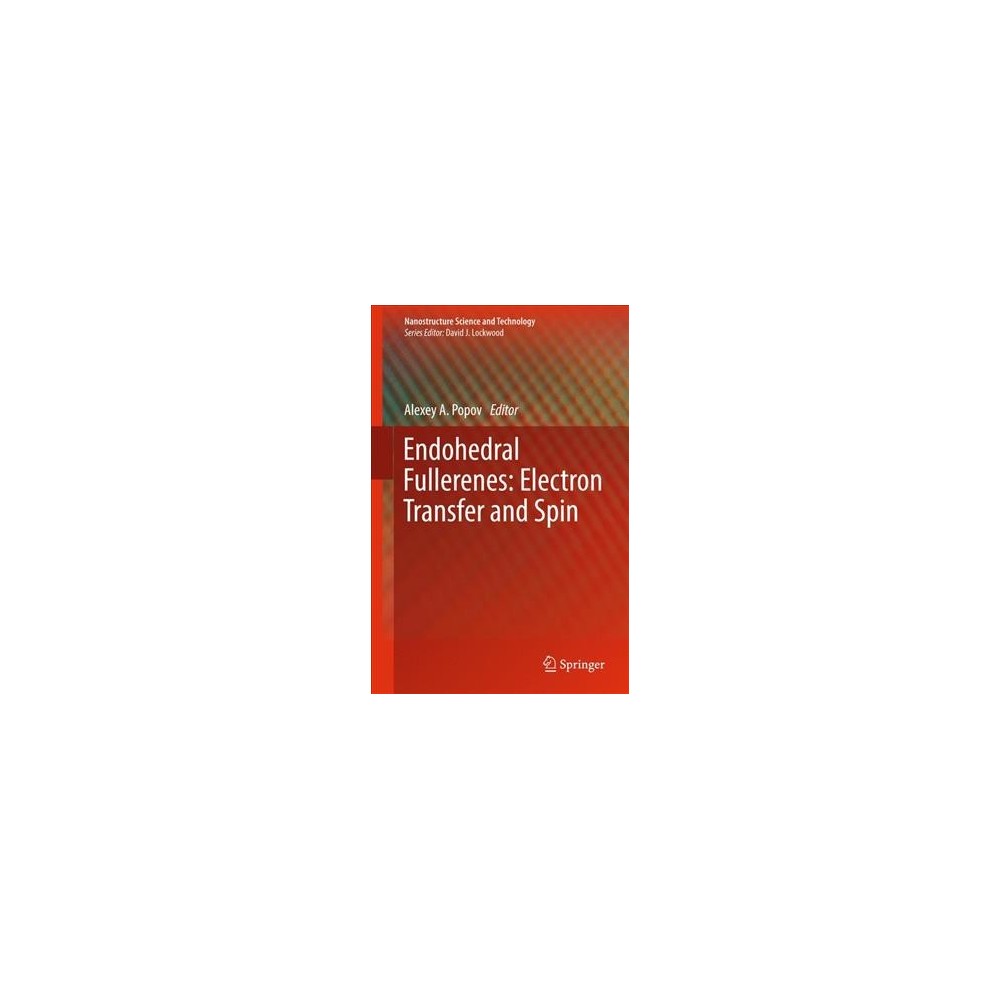 ISBN 9783319470474 product image for Endohedral Fullerenes : Electron Transfer and Spin (Hardcover) | upcitemdb.com