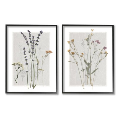 Stupell Industries Delicate Wildflower Sprigs 2 Piece Framed Giclee Art Set