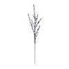 Ilex Blue Berry Spray (Set of 2) - 2 of 3
