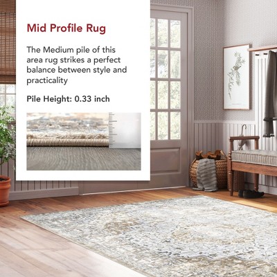 Distressed Medallion Thea Multicolor Synthetic Area Rug, 10' x 14'
