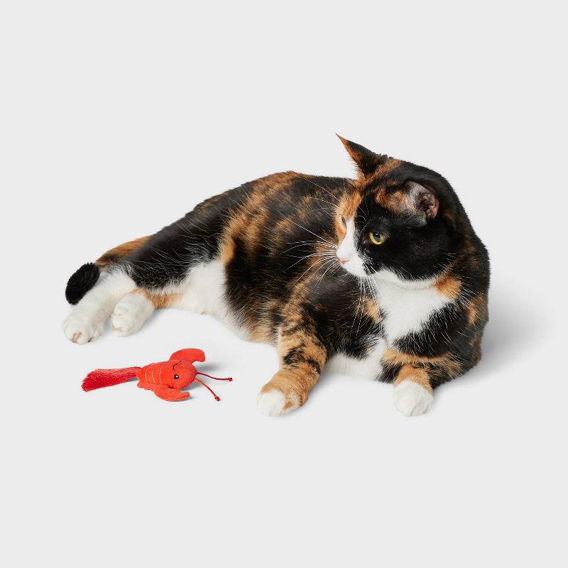 Lobster with Catnip Plush Cat Toy - Boots &#38; Barkley&#8482;, 2 of 4