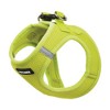 Voyager Step-In Air Dog Harness for Small and Medium Dogs - 3 of 4