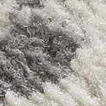 charcoal, medium gray, ivory, light slate