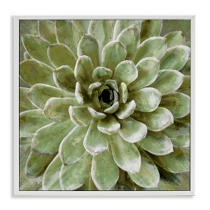 Stupell Industries Green Botanical Succulent Bloom, 17" x 17" - 1 of 4