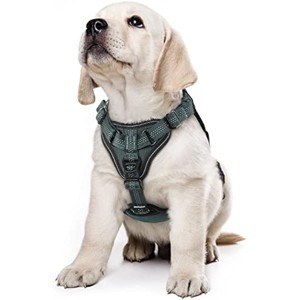 rabbitgoo Dog Harness for Small Dogs No Pull, Small Dog Vest with Bungee Handle & 2 Metal Clips, Belly Adjustable, Soft Padded (Green, S) - 1 of 1