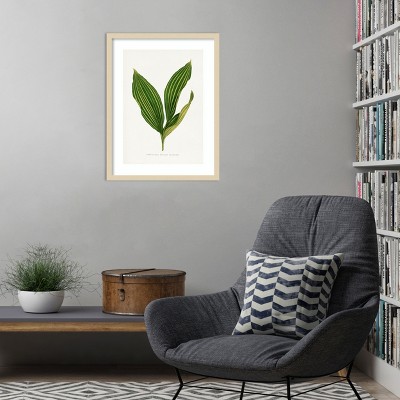 Lily of the Valley Botanical Lithograph with Wood Frame