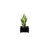 Vioscapes 10"x10" Square Cracked Pepper Planter - 2 of 2