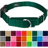 Country Brook Petz Heavy Duty Nylon Martingale Dog Collar with Deluxe Buckle - 30+ Vibrant Color Options - 2 of 4