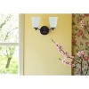 Sunset 2-Light 100W  Brighton Vanity in Provicial Bronze - 4 of 4
