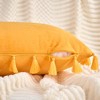 REGALWOVEN Velvet Soft Solid Covers Bohemian with Tassels Decorative Throw Pillow 2 Pcs - 3 of 4