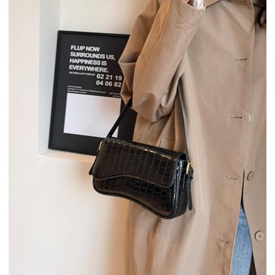BEAFUP Small Shoulder Bag Y2K Purses for Women Crocodile Handbag Clutch Purse Classic Crossbody Bag Satchel Purse