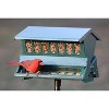 Woodlink Green Absolute II Squirrel Proof Bird Feeder - 12 lbs - 2 of 3