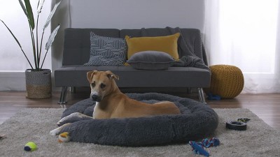 Extra Large Gray Plush Shag Fur Donut Dog Bed