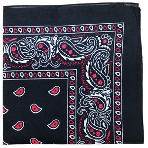 Qraftsy 48 Pack X-Large Paisley Cotton Bandanas 27 x 27 inches - Bulk Wholesale - 1 of 4