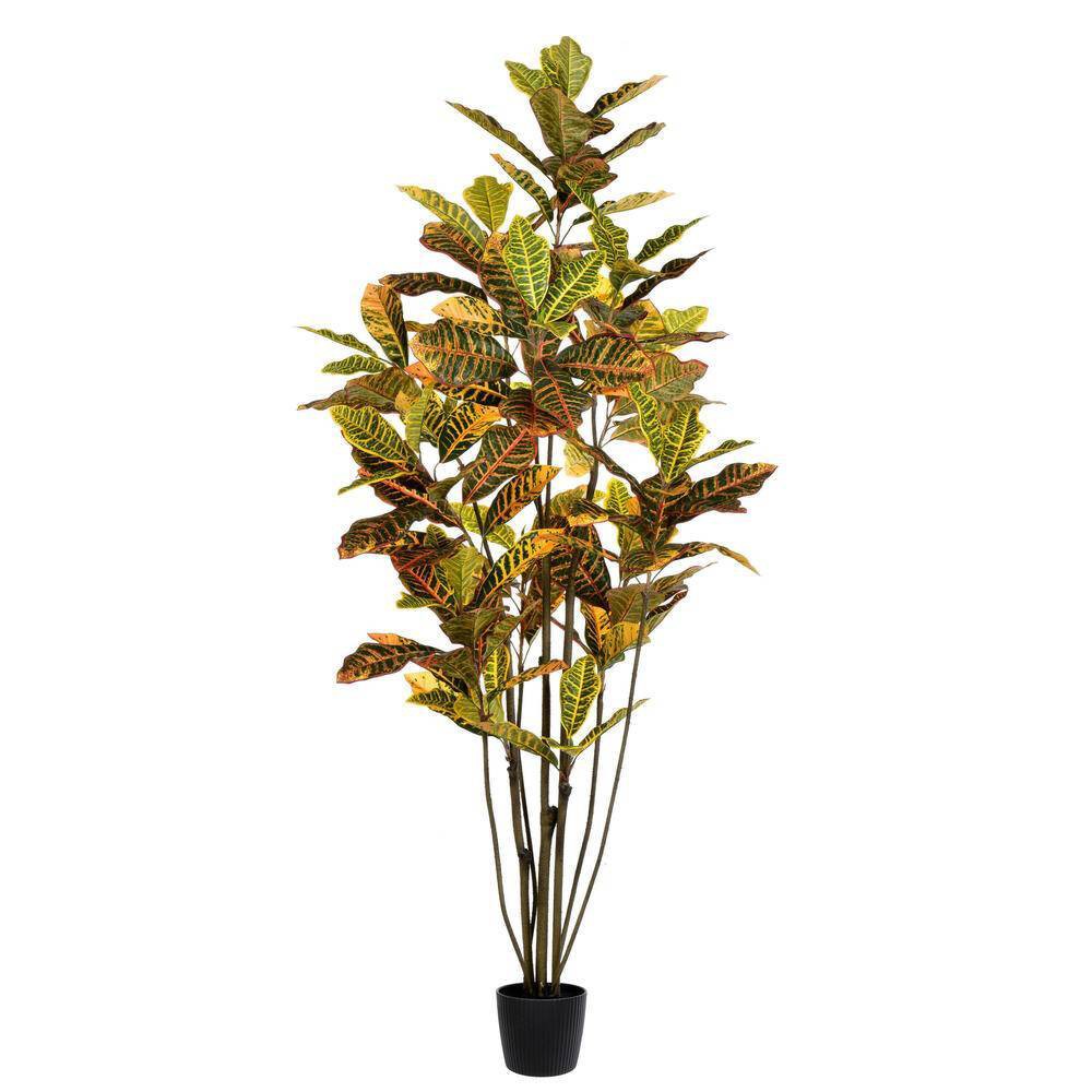 Photos - Garden & Outdoor Decoration Vickerman 6' Artificial Potted Cronton Tree Orange - Indoor Decorative Lif 