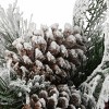 National Tree Company 1.5' Snowy Bedford Pine Urn Filler with 35 Warm White Battery Operated LED Lights with Timer: Christmas Tabletop Decor - 4 of 4