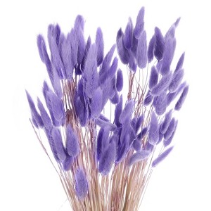 Unique Bargains Decorative Natural Dried Floral Bunny Tail Artificial Plants 120 Pcs - 1 of 4