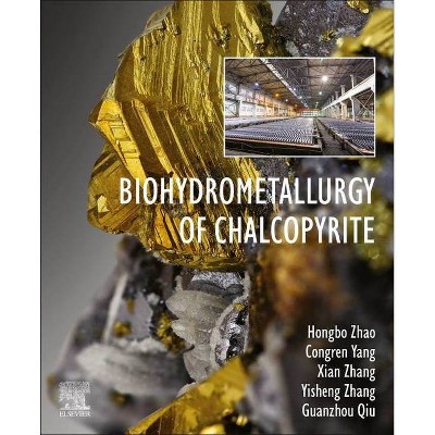 Biohydrometallurgy of Chalcopyrite - by  Hongbo Zhao & Congren Yang & Xian Zhang & Yisheng Zhang & Guanzhou Qiu (Paperback)