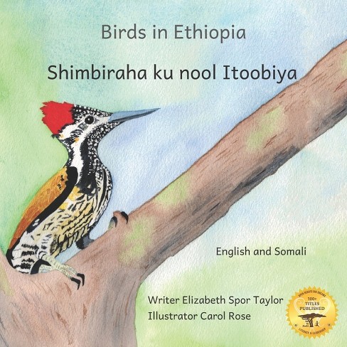 Birds in Ethiopia - by  Ready Set Go Books (Paperback) - image 1 of 1