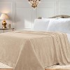 Fleece Plush Medium Weight Fluffy Soft Solid Decorative Blanket by Blue Nile Mills - 2 of 4