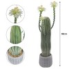 Nasitip 36''Tall Artificial Cactus, Realistic Faux Cactus Plant with White Planter, Fake Tree for Indoor & Outdoor Decor - 2 of 4