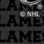 calgary flames