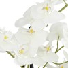 Dahlia Studios Potted Faux Artificial Flowers Realistic White Orchid in Gold Pot with Round Riser Home Decor Living Room 23" High - 2 of 4