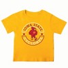 NCAA Iowa State Cyclones Toddler Boys' 2pk T-Shirt - 3 of 3