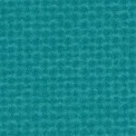 miami dolphins