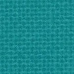miami dolphins